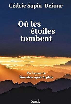 Où les étoiles tombent (Cédric Sapin- Defour)