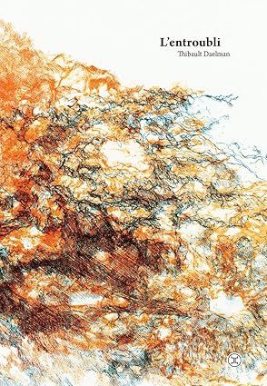 L'entroubli (Thibault Daelman)